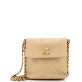 CHANEL Chain Flap Hobo Quilted Calfskin Small